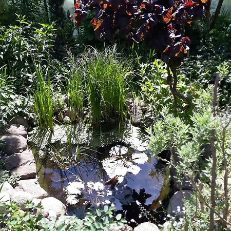 Jaskolka Homestay Miedzyzdroje