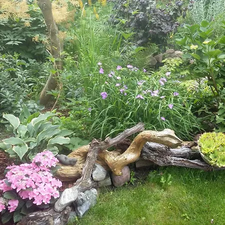 Jaskolka * Miedzyzdroje