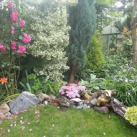 Jaskolka * Miedzyzdroje