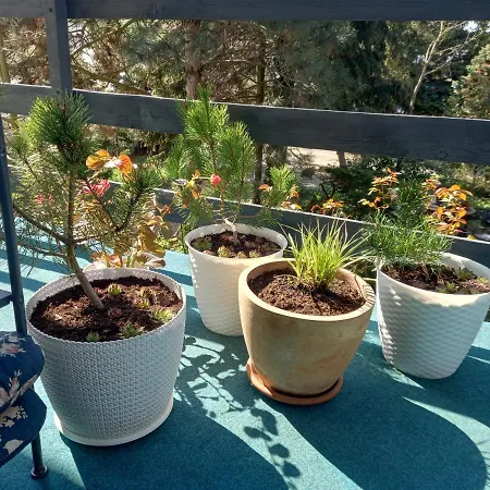 Quarto em Acomodações Particulares Jaskolka *