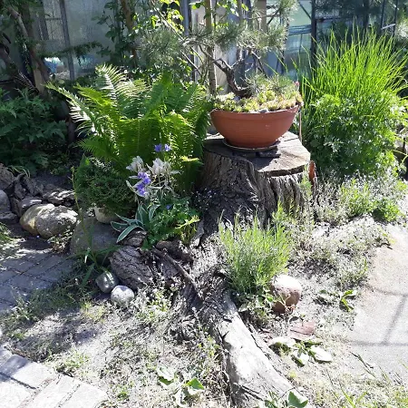 Jaskolka Miedzyzdroje