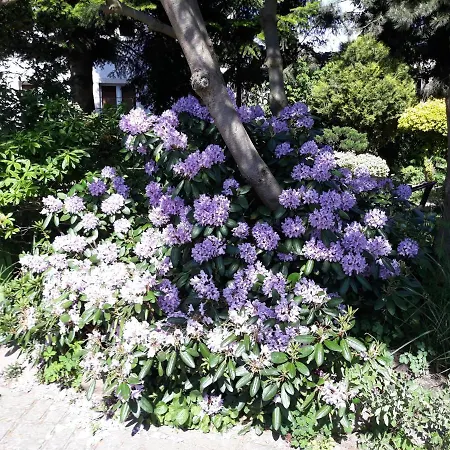 Quarto em Acomodações Particulares Jaskolka Miedzyzdroje