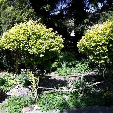 Jaskolka 홈스테이 *