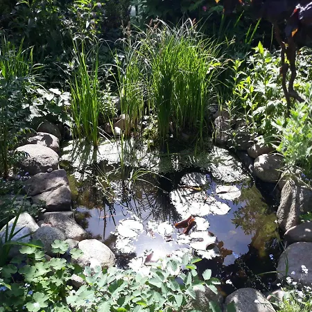 Jaskolka 홈스테이 *