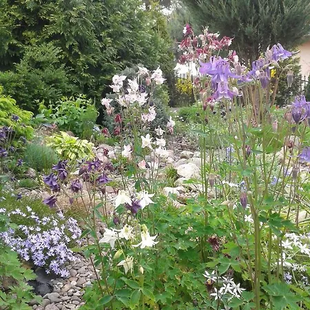 Jaskolka 미엥지즈드로예