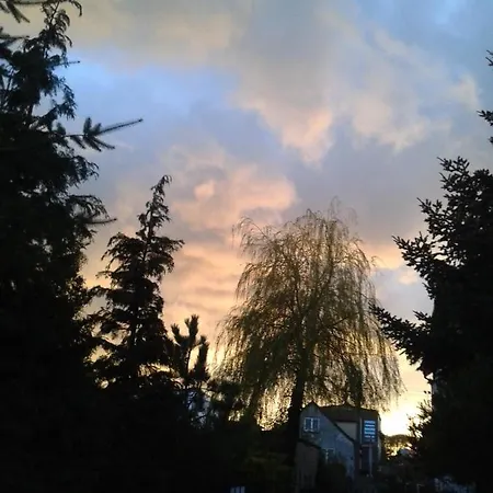 Jaskolka 홈스테이