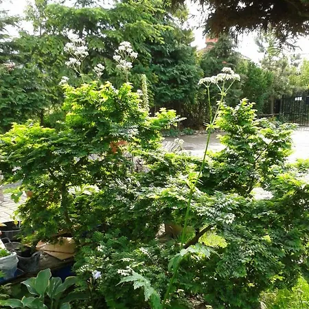 Quarto em Acomodações Particulares Jaskolka *