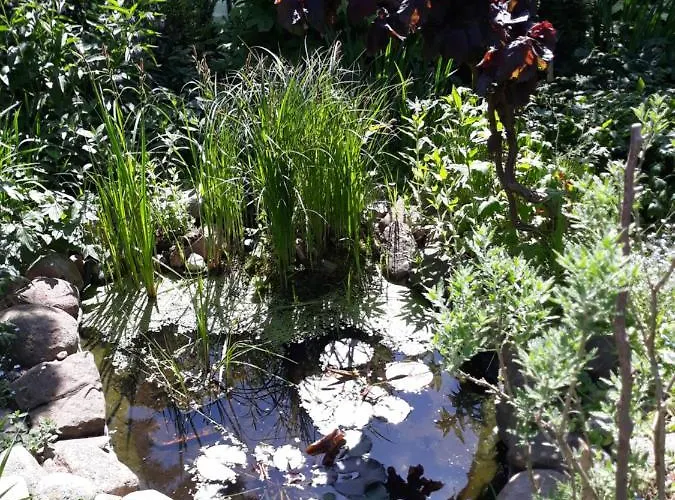 Jaskolka Homestay szállás Międzyzdroje