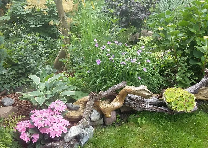 Jaskolka * Мендзыздрое