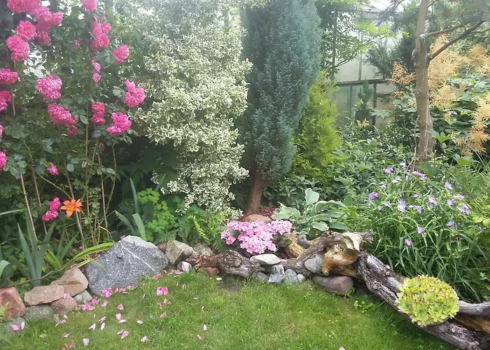 Jaskolka * Miedzyzdroje