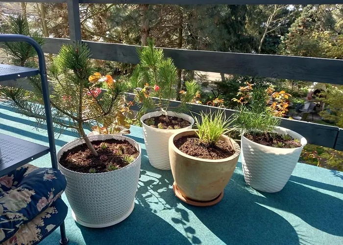 Homestay szállás Jaskolka *