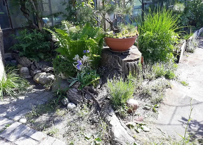 Jaskolka Międzyzdroje