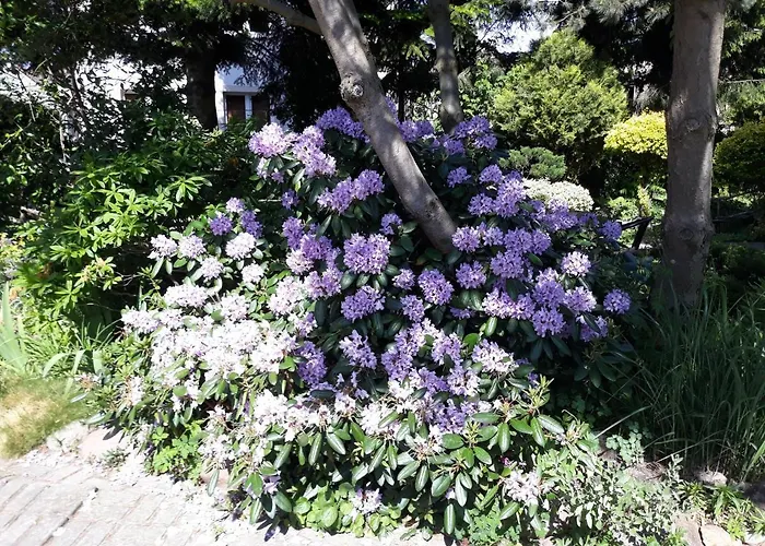 Homestay szállás Jaskolka Międzyzdroje