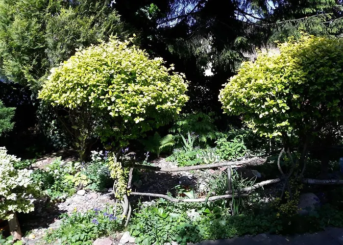 Jaskolka Homestay szállás *