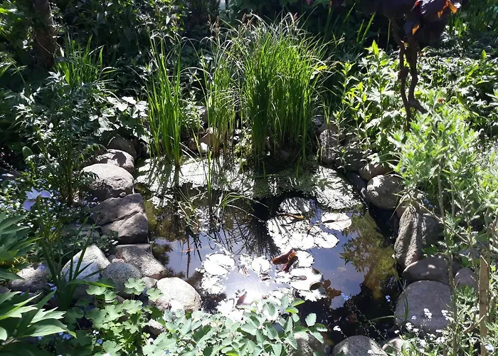 Jaskolka Проживание в семье *