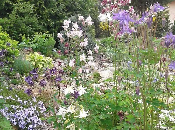 Jaskolka Мендзыздрое